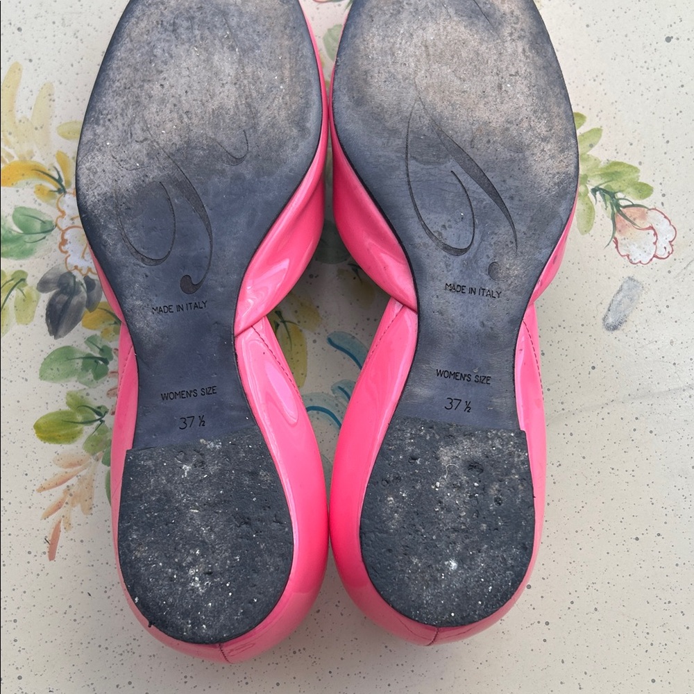 Roger Vivier Fuchsia Flats with Gold  Buckle 💖
FIRM Price - Picture 4 of 5